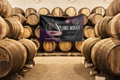 Vinos-Indomita